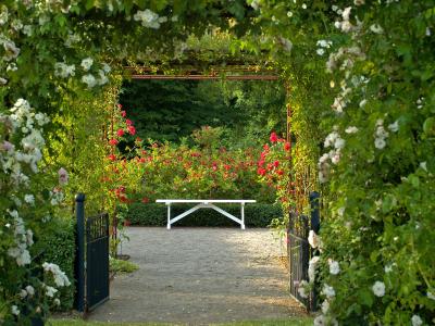 View over bench at Fredriksdal garden in Skåne