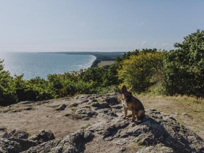 Stenshuvud´s view and dog