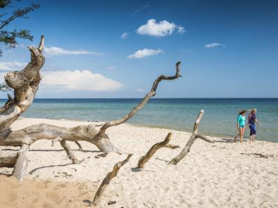 Two women walking on the sandy beach in summer