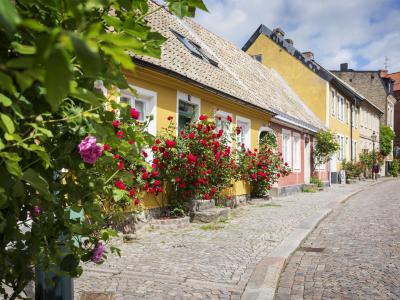 Färgglada och pittoreska hus på kullerstensgata i Lund