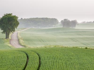 Österlen