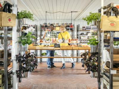 Tomaten Hus Apelöga