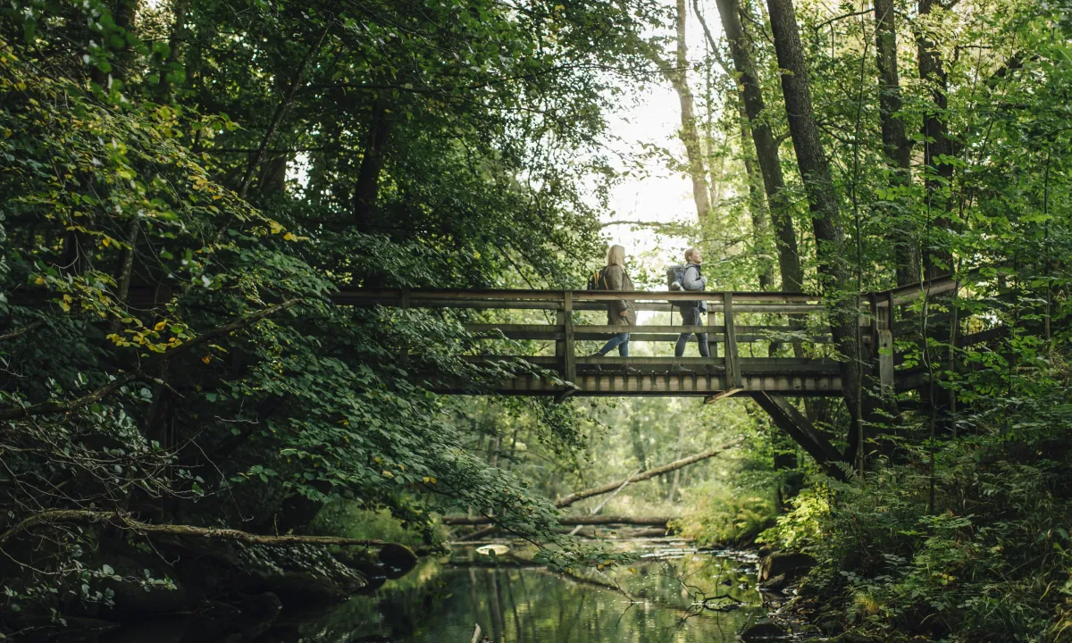 Hiking in Verkeån