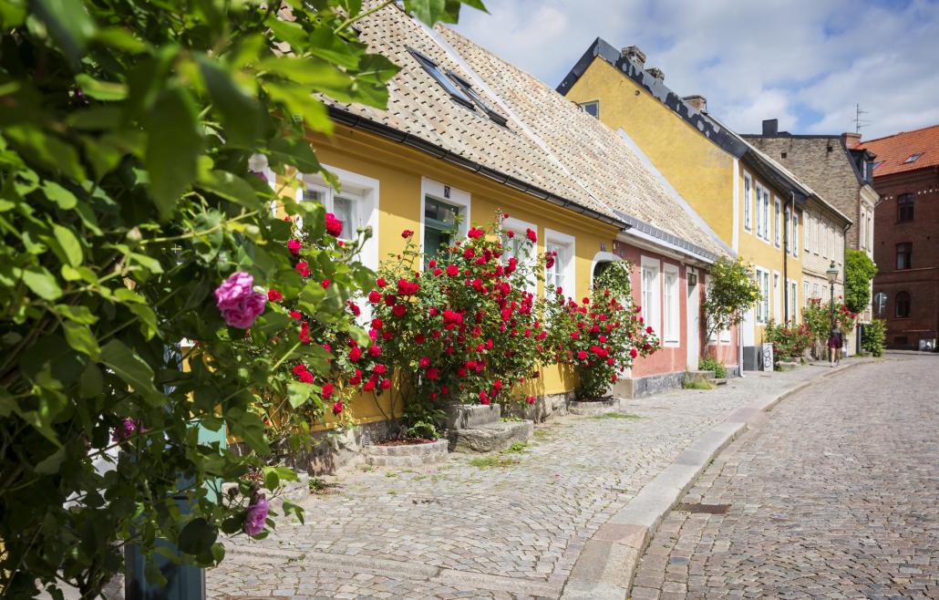 Eine Gasse in Lund mit farbenfrohen Häusern, vor denen Rosenstöcke blühen.