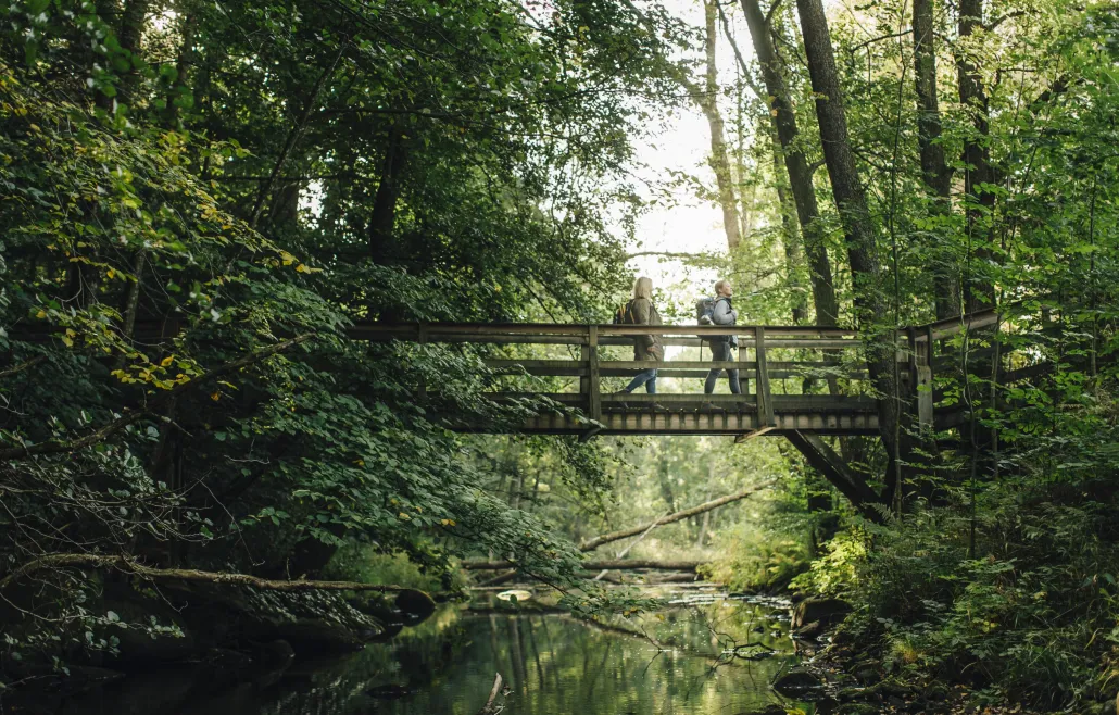 Hiking in Verkeån